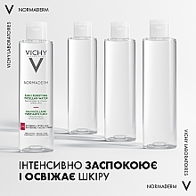 Vichy Normaderm 3-in-1 Purifying  Micellar Water - Vichy Normaderm 3-in-1 Purifying  Micellar Water — фото N4