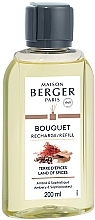 Maison Berger Land Of Spices Refill - Наповнювач для аромадифузора — фото N1