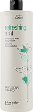 Професіональний шампунь зі свіжою м'ятою - Dott. Solari Refreshing Mint Shampoo — фото N1