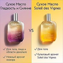 Caudalie Soleil Des Vigne - Масло для тела — фото N10