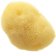 Натуральная морская губка "Fina Silk Sea Sponge", 7.6 см - Hydrea London Mediterranean Origin — фото N1