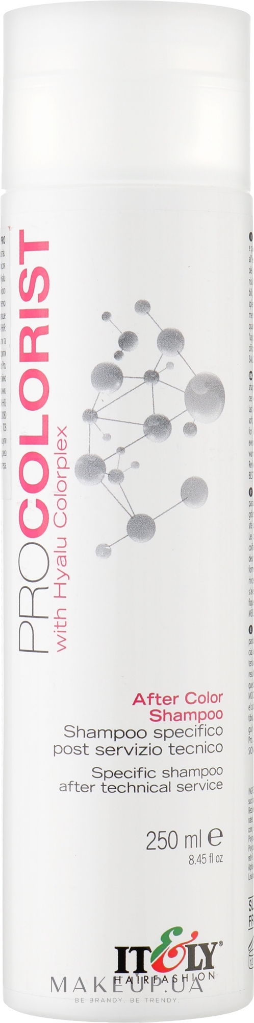 Шампунь для стабилизации цвета - Itely Hairfashion Pro Colorist  — фото 250ml
