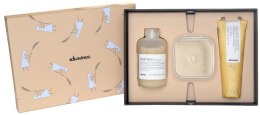 Духи, Парфюмерия, косметика Набор - Davines Wishing You Nourishing Moments (shm/250ml + cond/250ml + fluid/125ml)