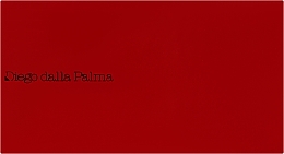 Футляр для пудри - Diego Dalla Palma Refill System Customizable Face Palette — фото N2