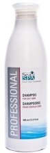 Парфумерія, косметика Шампунь для жирного волосся - Sea Of Spa Professional Shampoo For Oily Hair 