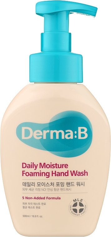 Зволожуюче мило-пінка для рук - Derma:B Daily Moisture Foaming Hand Wash — фото N1