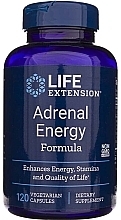 Харчові добавки - Life Extension Adrenal Energy Formula — фото N3
