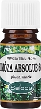 Парфумерія, косметика Ефірна олія мімози абсолют 66% - Saloos Essential Oil Mimosa Absolue 66%