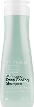 Шампунь для волосся - Doori Cosmetics Look At Hair Loss Minticcino Deep Cooling Shampoo — фото N1