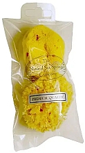 Набор губок для душа, 7.62 см - Hydrea London Baby Honeycomb & Fina Silk (sponge/2pcs) — фото N1
