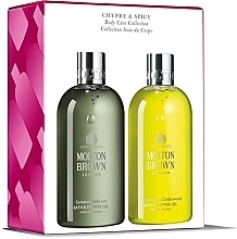 Парфумерія, косметика Molton Brown Chypre & Spicy Body Care Collection - Набір (sh/gel/2x300ml)