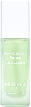 Успокаивающая сыворотка для чувствительной и жирной кожи - Muldream Deep Calming Serum Aloe & Spirulina — фото N1