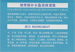Омолаживающий крем для лица с гиалуроновой кислотой - Bioaqua Water Get Hyaluronic Acid Cream  — фото N3