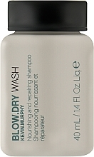 Парфумерія, косметика Шампунь з термозахистом для живлення та відновлення волосся - Kevin Murphy Blow.Dry Rinse (міні)