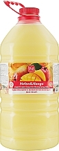 Рідке крем-мило "Диня і Манго" - Bioton Cosmetics Active Fruits "Melon & Mango" Soap (дой-пак) — фото N3