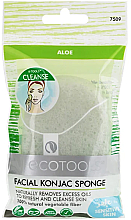 Духи, Парфюмерия, косметика Спонж конняку для умывания с алоэ - Ecotools Facial Konjac Sponge Aloe