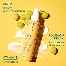 Сонцезахисний спрей для обличчя та тіла - Caudalie Vinosun Protect Spray Invisible SPF30 — фото N5