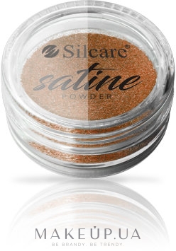 Пудра для ногтей - Silcare Satine Powder — фото Bronze