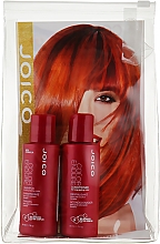 Духи, Парфюмерия, косметика Набор - Joico Color Endure Set New Formula (shm/50ml + cond/50ml)