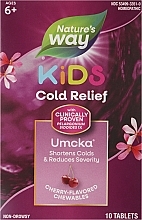 Духи, Парфюмерия, косметика Комплекс против простуды для детей от 6 лет - Nature's Way Umcka ColdCare Kids