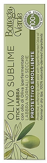 Бальзам для губ з оливковою олією - Bottega Verde Olivo Sublime Lip Balm Stick — фото N2