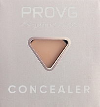 Парфумерія, косметика Консилер-коректор для обличчя - PROVG Concealer