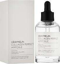 Омолаживающая ампульная сыворотка для лица с коллагеном - Graymelin Collagen 90% Perfect Ampoule — фото N2