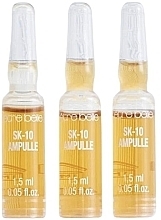 Ампули для проблемної шкіри обличчя - Etre Belle SK-10 Ampoule — фото N2