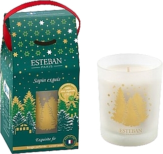 Esteban Exquisite Fir - Парфумована декоративна свічка — фото N1