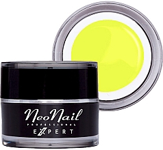 Гель-краска для ногтей - NeoNail Professonal Expert Paint UV Gel — фото N1