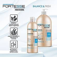 Шампунь  - Fortesse Professional Balance & Fresh Shampoo — фото N3