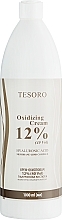 Парфумерія, косметика Крем-окислювач 12% - Moli Cosmetics Tesoro Oxidizing Cream 40 Vol