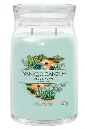 Ароматична свічка - Yankee Candle Signature Aloe & Agave — фото N2