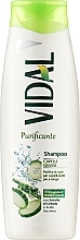 Духи, Парфюмерия, косметика Шампунь для жирных волос - Vidal Shampoo
