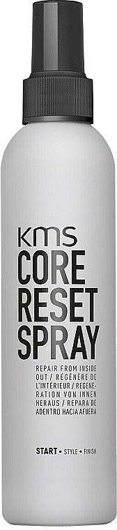 Захисний спрей для волосся - KMS California Head Remedy Core Reset Spray — фото N1
