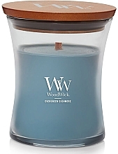 Ароматична свічка - WoodWick Evergreen Cashmere Candle — фото N3