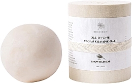 Парфумерія, косметика Твердий шампунь "Сніжний овес" - Erigeron All in One Vegan Shampoo Ball Snow Oatmeal