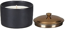 Ароматична свічка "Бергамот і червоне дерево" - Paddywax Hygge Ceramic Candle Black Bergamot & Mahogony — фото N2