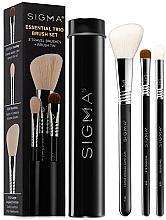 Набор кистей для макияжа в футляре, чёрный, 3 шт - Sigma Beauty Essential Trio Brush Set  — фото N1
