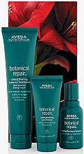 Духи, Парфюмерия, косметика Набор - Aveda Botanical Repair (h/cond/200ml + shampoo/50ml + h/cond/40ml)