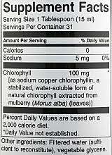 Пищевая добавка "Хлорофилл жидкий" - Swanson Liquid Chlorophyll — фото N2