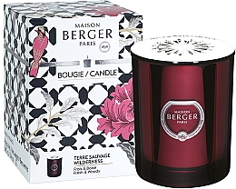 Парфумерія, косметика Maison Berger Wilderness - Ароматична свічка