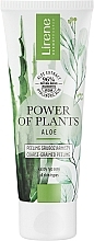 Пилинг для лица с алоэ - Lirene Power Of Plants Aloes Peeling — фото N1