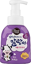 Гель для миття рук з ароматом чорниці - Kerasys Shower Mate Bubble Hand Wash Blueberry — фото N1