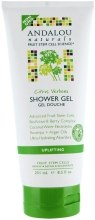 Духи, Парфюмерия, косметика Гель для душа "Цитрус-вербена" - Andalou Naturals Citrus Verbena Uplifting Shower Gel