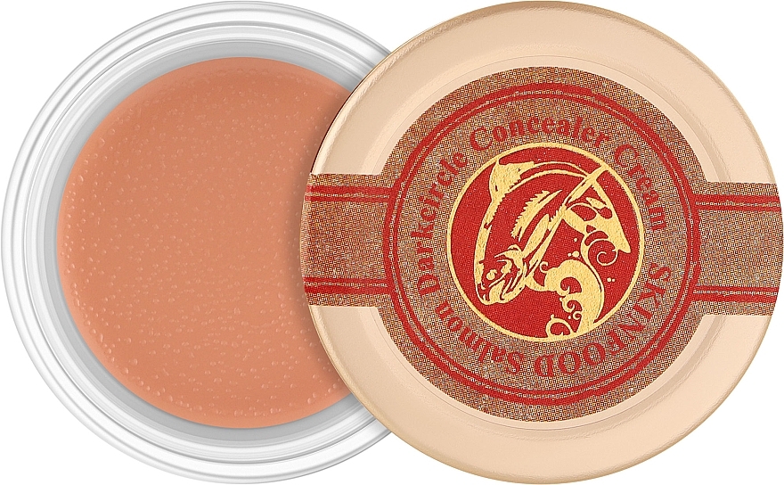 Крем-консилер от тёмных кругов - Skinfood Salmon Dark Circle Concealer Cream