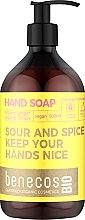 Мыло для рук - Benecos Hand Soap Organic Ginger and Lemon — фото N1
