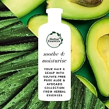 Шампунь без сульфатов - Herbal Essences Gently Soothes Pure Aloe + Avocado Oil — фото N7