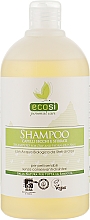 Духи, Парфюмерия, косметика Шампунь для сухих и слабых волос - Pierpaoli Ecosi Personal Care Shampoo