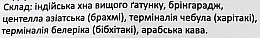 Лікувальна аюрведична фарба для волосся - Chandi (міні) — фото N3